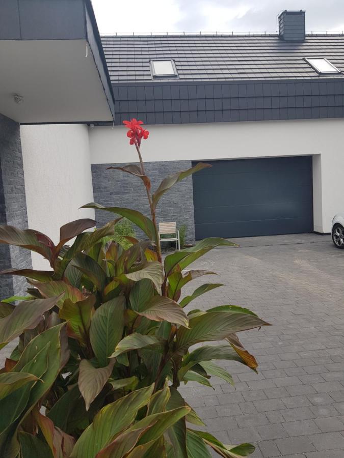 Mlynska 8 Opole-Gorki Vila Exterior foto