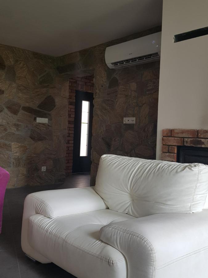 Mlynska 8 Opole-Gorki Vila Exterior foto